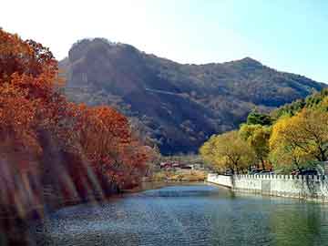 新澳天天开奖资料大全旅游团，杨浦大桥好玩吗